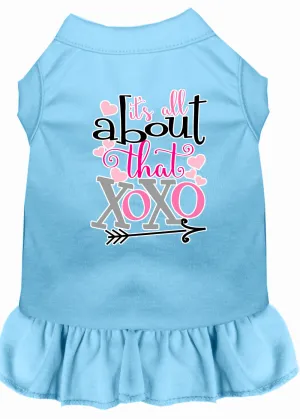 All About The Xoxo Screen Print Dog Dress Baby Blue Med
