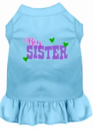 Big Sister Screen Print Dog Dress Baby Blue Xl