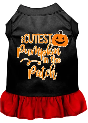 Cutest Pumpkin In The Patch Screen Print Dog Dress Black With Red Xxxl
