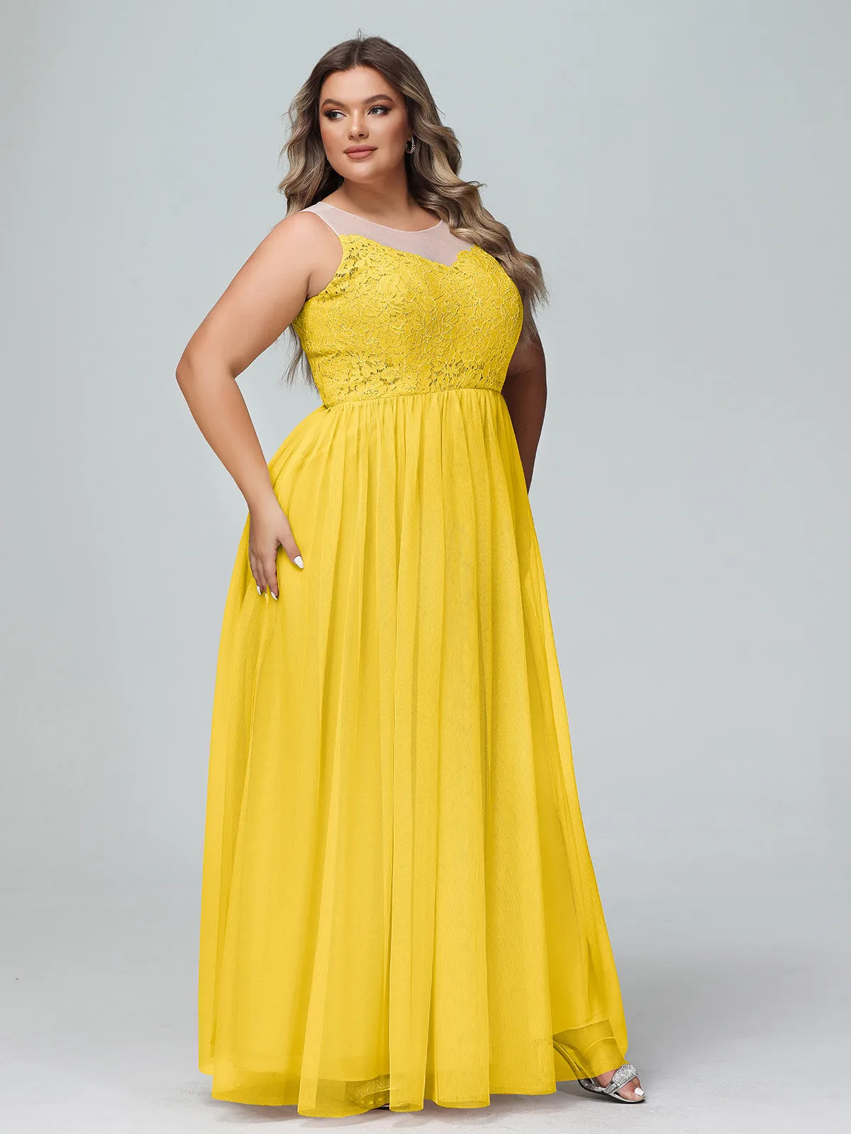 Illusion Neckline Lace and Tulle Maxi Dress-Marigold Plus Size