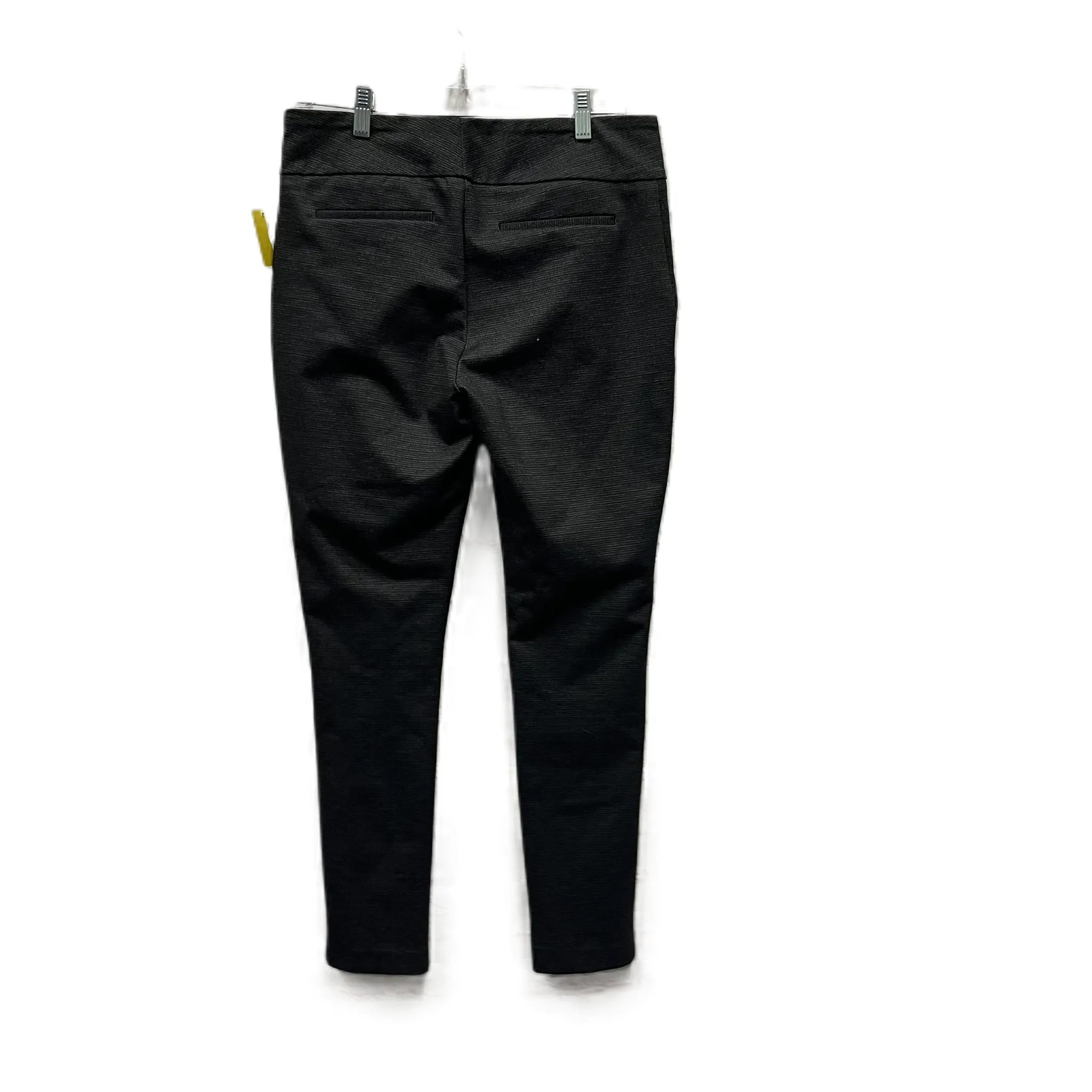 Pants Other By Dalia In Grey, Size: 10